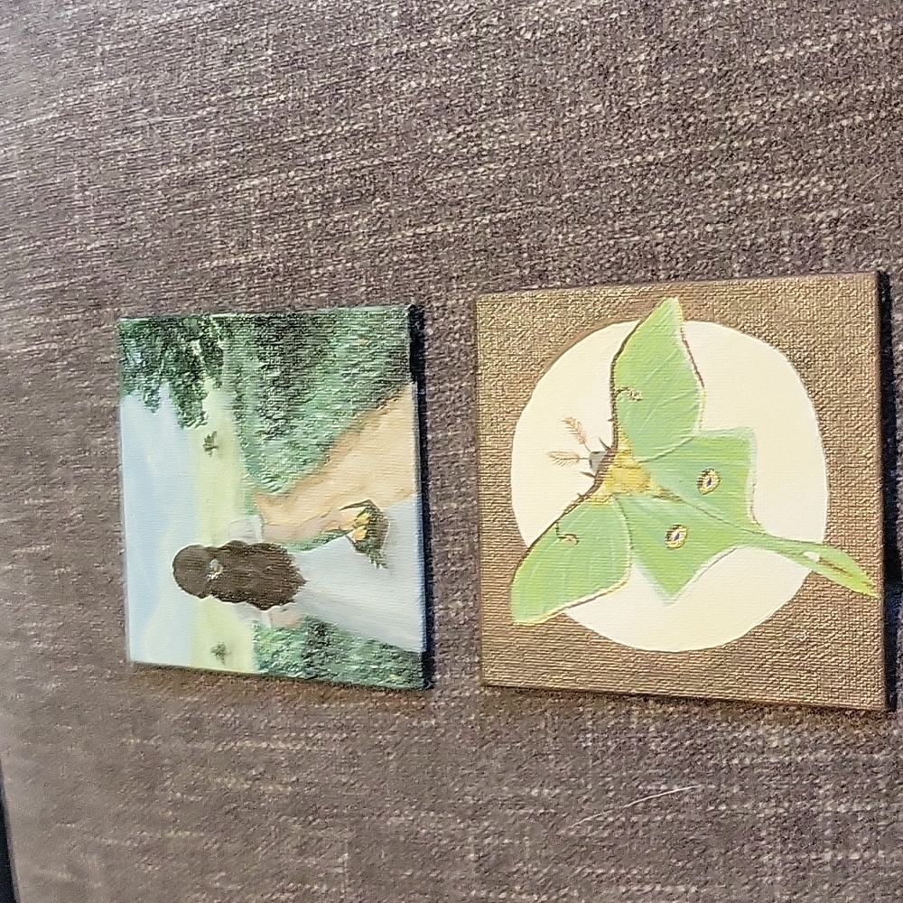 2 Handpainted Pictures on Canvas,EUC